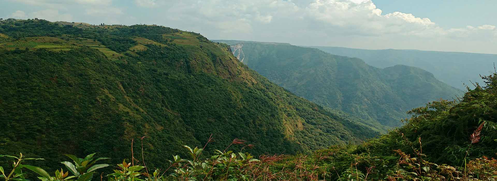 Meghalaya Family Tour Package: 4N 5D