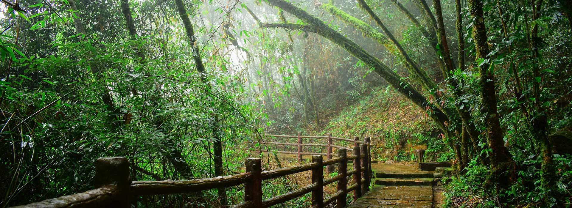Essence of Meghalaya – 4 Nights 5 Days Hills & Heritage