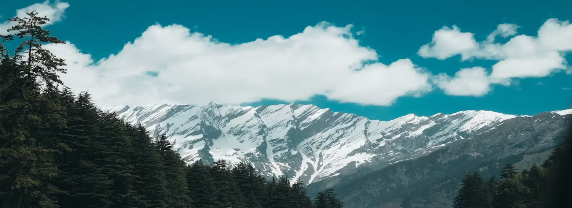 Enchanting Ziro Valley Retreat