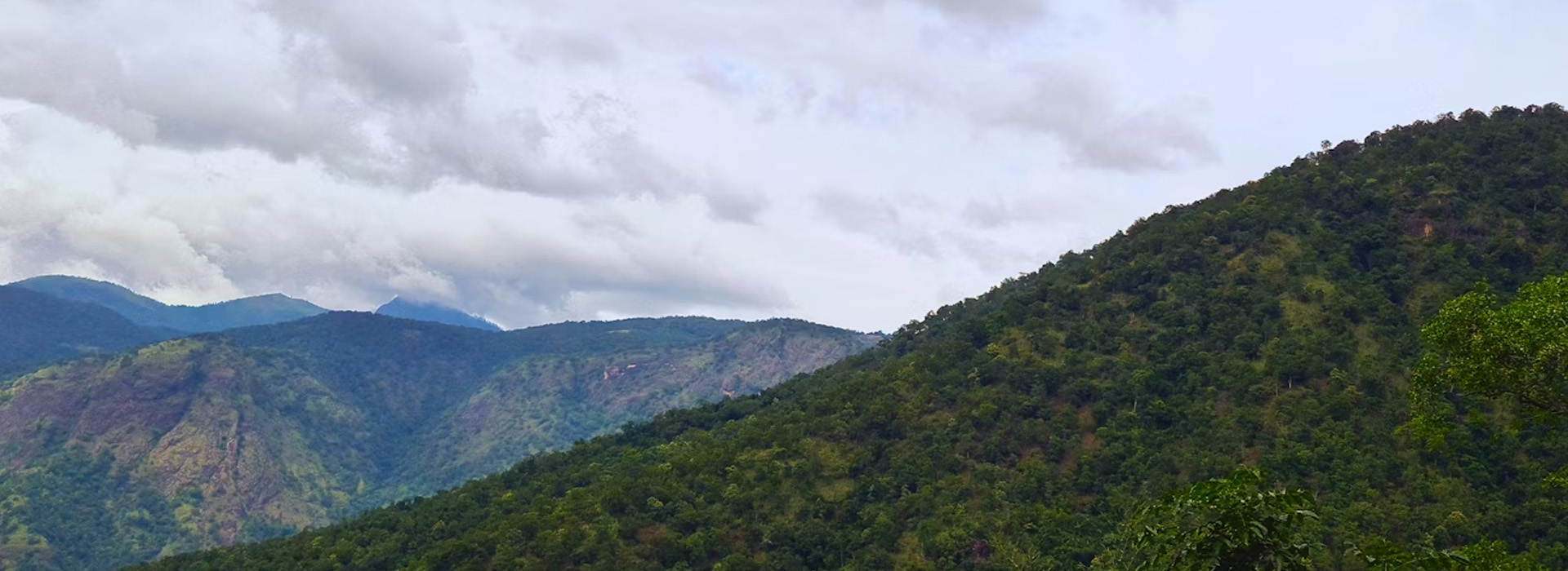 Complete Arunachal Discovery