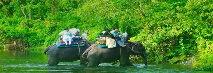 Tour Operators In Siliguri